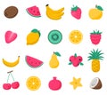 A set of bright tropical summer fruits and berries. Strawberries, coconut, pineapple, bananas, raspberries, cherries. Vector Royalty Free Stock Photo