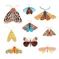 Set of bright watercolor butterflies. Illustration for greeting cards, invitations, and other printing projects.