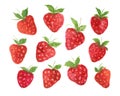 Set of bright watercolor strawberries illustration Royalty Free Stock Photo