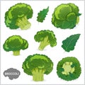 Set of broccoli vegetable illustration in various styles vector format