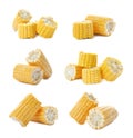Set with broken corn cobs Royalty Free Stock Photo