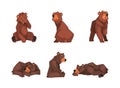 Set of brown bear in different poses. Wild forest sitting, standing and sleeping mammal animal cartoon vector