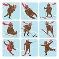 Set of brown bear plays winter sport.Icons Royalty Free Stock Photo