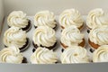 Set of brown chocolate and white vanilla cupcakes with whipped cream cheese tops in the white gift box Royalty Free Stock Photo