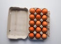 Pack of 15 brown fresh raw chicken eggs in a white carton egg box on a white background top view Royalty Free Stock Photo