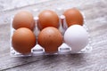 Set of brown and white eggs in clear plastic box on wooden table. Royalty Free Stock Photo