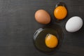 Set of brown and white eggs and egg yolks with copy space Royalty Free Stock Photo