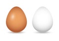 Set of brown and white eggs with shadow. Vector