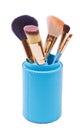 A set of brushes for makeup