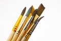 set of brushes for painting various textures and stiffness