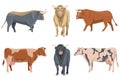 Set bulls and cows vector. Bull silhouettes Collection in various poses illustration of animal. Royalty Free Stock Photo