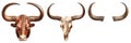 Set of bulls head and horns isolated on a transparent or white background. Overlays for insertion. Design elements to Royalty Free Stock Photo