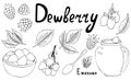 Set of bunches and berries of dewberry. Contour vector graphics. Isolated sketch on a white background. Summer season. Idea for Royalty Free Stock Photo