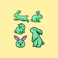 Set bundle animal rabbit