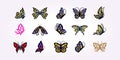 set bundle icon of butterfly icon logo vector vintage template. illustration design of insect metamorphose Royalty Free Stock Photo