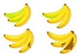 A set of bundles of bananas - green and non-empty bananas and mature and overripe bananas.