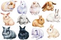 Set of bunnies on an isolated white background, painted with watercolor. Easter rabbits Royalty Free Stock Photo