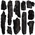 Set of Burnt bark tree Royalty Free Stock Photo