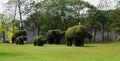 Set of bush in elephant shaped