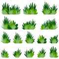 Set Bushes of green grass, Lush bunches of green garden plants. Vector flat cartoon illustration isolated on white Royalty Free Stock Photo