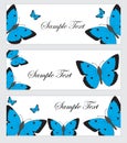 Set butterflies banner. Banner template with butterflies. Colored butterfly banner. Vector illustration