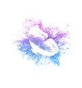 Color paint splashes with butterfly isolated on a white background. Royalty Free Stock Photo