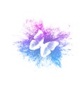 Color paint splashes with butterfly isolated on a white background. Royalty Free Stock Photo