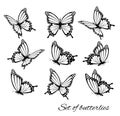 Set of butterflies, flying in different directions. Butterfle silhouette.