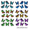 Set of butterflies, flying in different directions.