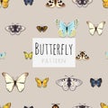 Set of butterflies with space for text Royalty Free Stock Photo