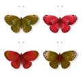 Set of butterflies Royalty Free Stock Photo