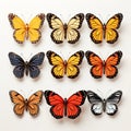 Set of butterflies white isolated