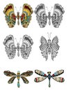 Set of butterfly Royalty Free Stock Photo