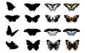 Butterfly Silhouettes