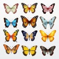 Vibrant Butterfly Illustrations: Realistic Color Schemes And Exaggerated Poses