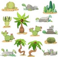 Set of cacti, stones and palms