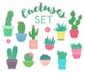 Set of cacti and succulents in flower pots Royalty Free Stock Photo