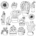 Set cacti and succulents in pots sketch black outline different elements isolated on white background Royalty Free Stock Photo