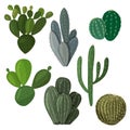 A set of cacti. Vector image in a flat style. A colorful collection