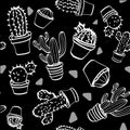 Set of cactus on a black background Royalty Free Stock Photo