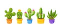 Set Of Cactus Characters, Cute Succulents, Cacti With Happy Funny Faces. Tropical Smiling Flowers, Desert Prickly Plants