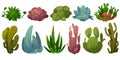 Set of cactus, desert flowers opuntia, monilaria,