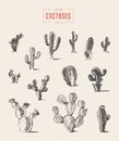 Set cactus hand drawn vector illustration sketch