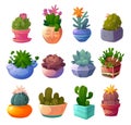Set cactus home plants in flowerpots icons set