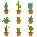 Set of cactus houseplants in flower pots. Cactus icons in a flat style on a white background. Succulent plants. Royalty Free Stock Photo