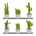 Set of cactus houseplants in flower pots. Cactus icons in a flat style on a white background. Plants Royalty Free Stock Photo