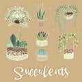 Set of cactus houseplants in flower pots. Vector icons Royalty Free Stock Photo