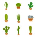 Set of cactus in a potplants Royalty Free Stock Photo