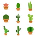 Set of cactus in a potplants Royalty Free Stock Photo