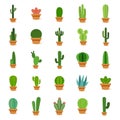 Set of cactus in a potplants Royalty Free Stock Photo